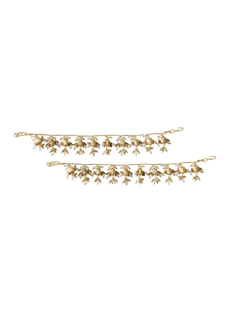 Avni Earchain
