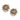 Khurmi Antique Stud Earrings handcrafted in an antique dual-tone finish featuring heritage shell motifs, intricate bead embroidery, and traditional detailing for bridal and festive wear.