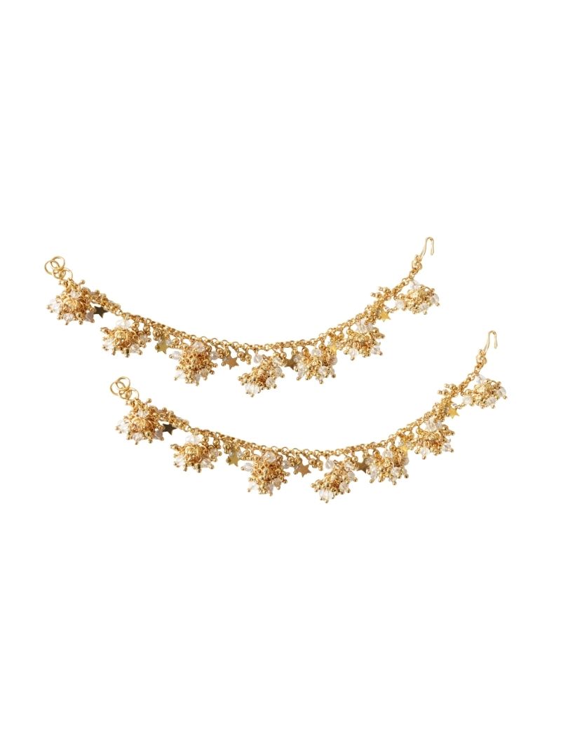 Sharvani Earchain