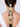 Amaara Pearl Bridal Braid handcrafted with ornate pearl medallions, intricate bead embroidery and cascading pearl tassels in a luxurious Gold Tone Finish for elegant bridal braid hairstyles.