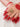 Avantika Floral Statement Ring