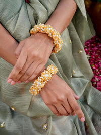 Chitra Bangle