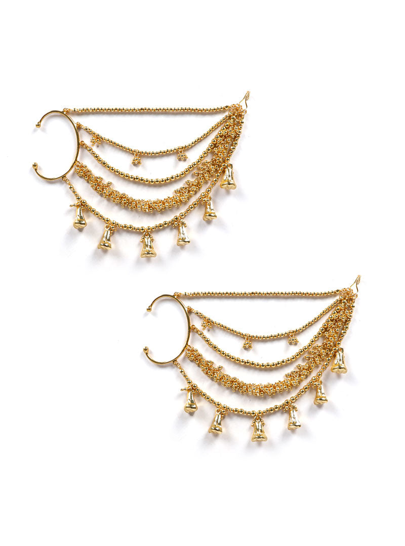 Mani Earchain